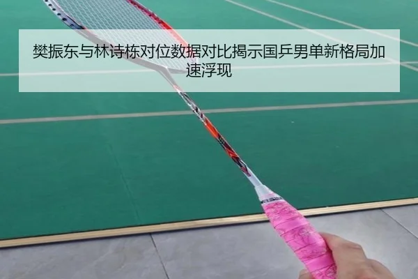 樊振东与林诗栋对位数据对比揭示国乒男单新格局加速浮现 - JiuyouSports